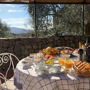  Farm stay Fattoria Lornano Winery